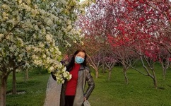 向日葵app视频入口